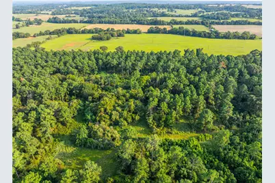 Tract 11 County Road 4222, Frankston, TX 75763 - Photo 19