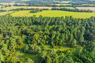 Tract 11 County Road 4222, Frankston, TX 75763 - Photo 19