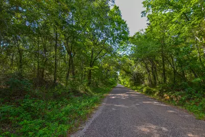 Tract 13 County Road 4224, Frankston, TX 75763 - Photo 3