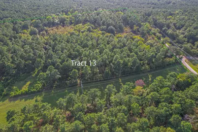 Tract 13 County Road 4224, Frankston, TX 75763 - Photo 1