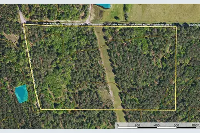 Tract 13 County Road 4224, Frankston, TX 75763 - Photo 15