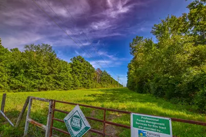 Tract 13 County Road 4224, Frankston, TX 75763 - Photo 5