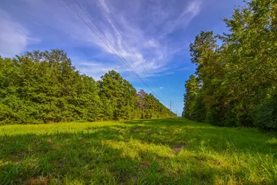 Tract 13 County Road 4224, Frankston, TX 75763 - Photo 9