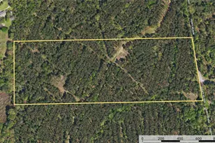 Tract 17 County Road 4224, Frankston, TX 75763 - Photo 13