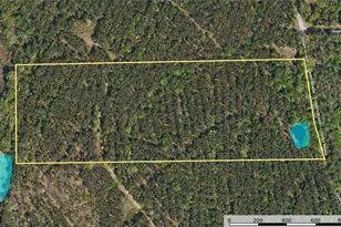 Tract 18 County Road 4224, Frankston, TX 75763 - Photo 11