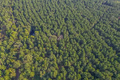 Tract 18 County Road 4224, Frankston, TX 75763 - Photo 3