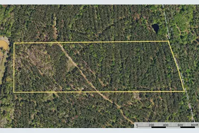 Tract 19 County Road 4224, Frankston, TX 75763 - Photo 9