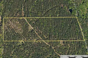 Tract 19 County Road 4224, Frankston, TX 75763 - Photo 9