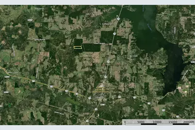 Tract 19 County Road 4224, Frankston, TX 75763 - Photo 11