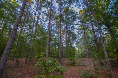 Tract 20 County Road 4224, Frankston, TX 75763 - Photo 9