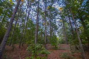 Tract 20 County Road 4224, Frankston, TX 75763 - Photo 9