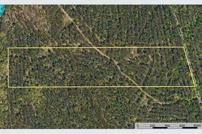 Tract 20 County Road 4224, Frankston, TX 75763 - Photo 11