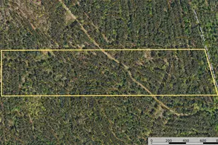 Tract 20 County Road 4224, Frankston, TX 75763 - Photo 11