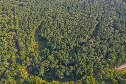 Tract 20 County Road 4224, Frankston, TX 75763 - Photo 3