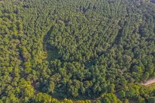 Tract 20 County Road 4224, Frankston, TX 75763 - Photo 3