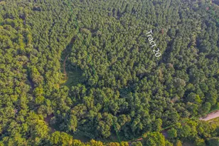 Tract 20 County Road 4224, Frankston, TX 75763 - Photo 1