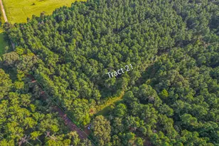 Tract 21 County Road 4224, Frankston, TX 75763 - Photo 1