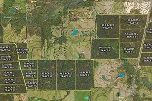 Tract 21 County Road 4224, Frankston, TX 75763 - Photo 13