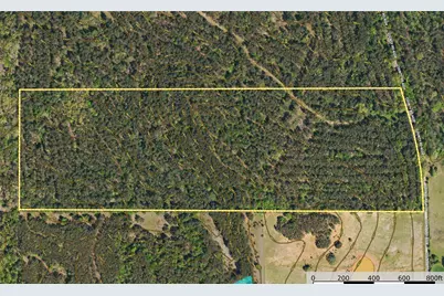 Tract 21 County Road 4224, Frankston, TX 75763 - Photo 11