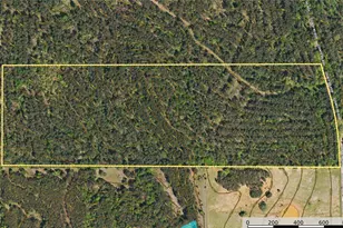 Tract 21 County Road 4224, Frankston, TX 75763 - Photo 11