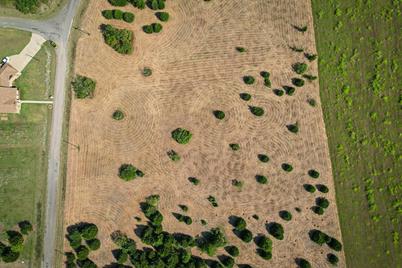 Lot 11 Baybridge, Kerens, TX 75144 - Photo 3