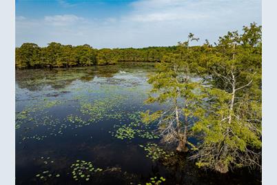 Tbd Moon Lake Rd, Jefferson, TX 75657 - Photo 3