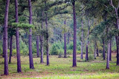 Tbd Moon Lake Rd, Jefferson, TX 75657 - Photo 15