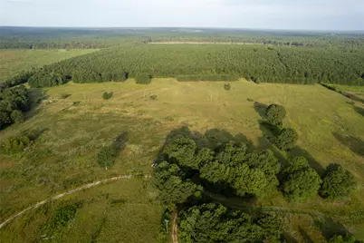Lake Country (Lot 9) Tx-77, Atlanta, TX 75551 - Photo 3