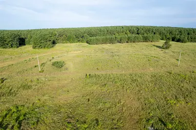 Lake Country (Lot 16) Tx-77, Atlanta, TX 75551 - Photo 1