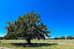 Lot 106 N Waterbuck Way, Lampasas, TX 76550 - Photo 11