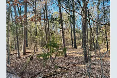 Lot 32 & 33 Winding Lane, Mount Vernon, TX 75457 - Photo 3