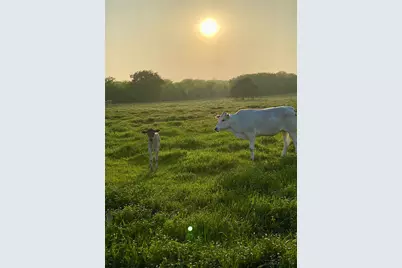 7984 County Road 2582, Royse City, TX 75189 - Photo 17
