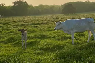7984 Co Rd 2582, Royse City, TX 75189 - Photo 17