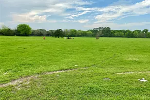 7984 Co Rd 2582, Royse City, TX 75189 - Photo 19