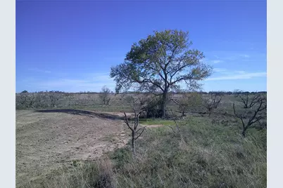Tr 5 4 Wire, Bowie, TX 76230 - Photo 11