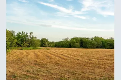 Tbd County Road 3660 County Road 3660, Ladonia, TX 75449 - Photo 11