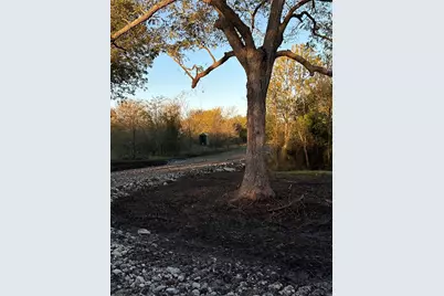 Tbd County Road 3660 County Road 3660, Ladonia, TX 75449 - Photo 13