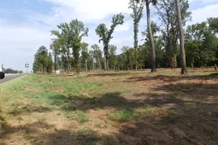 16393 W State Highway 31, Tyler, TX 75709 - Photo 11