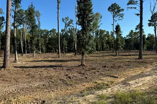 16393 W State Highway 31, Tyler, TX 75709 - Photo 9