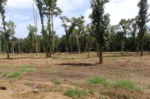 16393 W State Highway 31, Tyler, TX 75709 - Photo 5