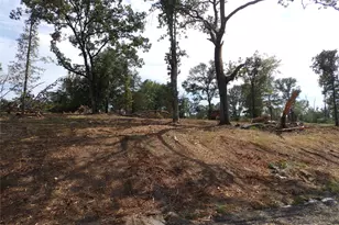 16393 W State Highway 31, Tyler, TX 75709 - Photo 19