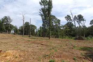 16393 W State Highway 31, Tyler, TX 75709 - Photo 9