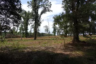 16393 W State Highway 31, Tyler, TX 75709 - Photo 19