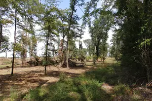 16393 W State Highway 31, Tyler, TX 75709 - Photo 17