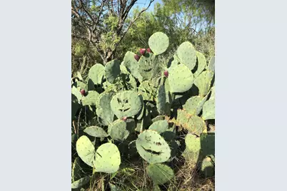 Lot 297 Shooting Star Court, Possum Kingdom Lake, TX 76449 - Photo 9