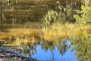 11420 County Rd 420, Tyler, TX 75704 - Photo 25