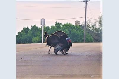 10072 Lakeview Court, Whitney, TX 76692 - Photo 33