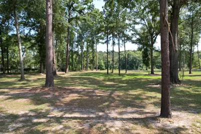 Tbd (Lot 1) County Road 3545, Joaquin, TX 75954 - Photo 13