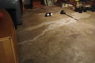 11231 Pelican Dr, Dallas, TX 75238 - Photo 7