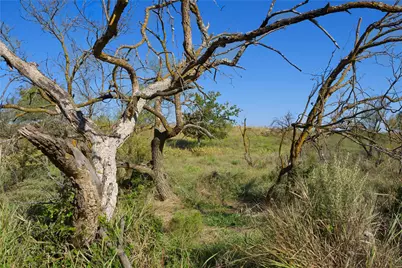 Tbd Hwy 81, Ringgold, TX 76261 - Photo 7